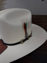 Load image into Gallery viewer, Tombstone Johnson 2.0 1000x
